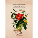 CALLABA LA TIERRA