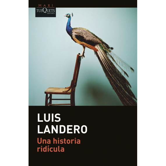 UNA HISTORIA RIDICULA