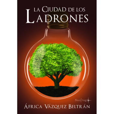 La ciudad de los ladrones