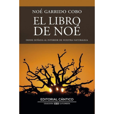 EL LIBRO DE NOE