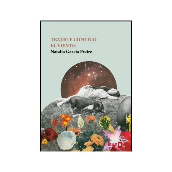 Trajiste contigo el viento