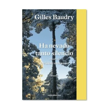 HA NEVADO TANTO SILENCIO