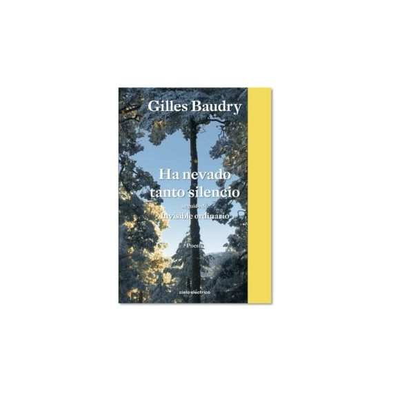 HA NEVADO TANTO SILENCIO