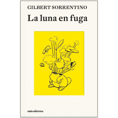 LA LUNA EN FUGA