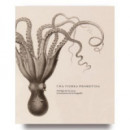 UNA TIERRA PROMETIDA