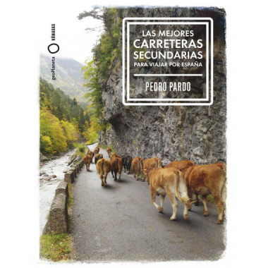 LAS MEJORES CARRETERAS SECUNDARIAS PARA VIAJAR POR ESPA�A