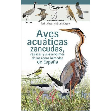 AVES ACUATICAS ZANCUDAS RAPACES Y PASERIFORMES ZONAS HUMEDAS