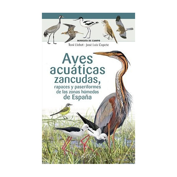 AVES ACUATICAS ZANCUDAS RAPACES Y PASERIFORMES ZONAS HUMEDAS