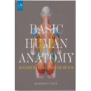 BASIC HUMAN ANATOMY