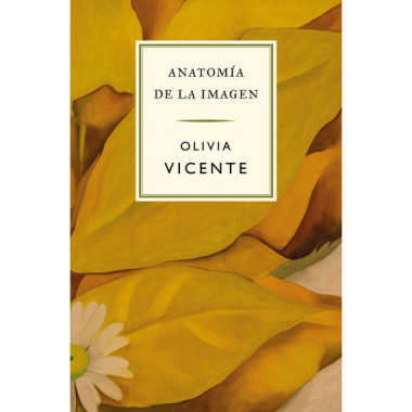 ANATOMIA DE LA IMAGEN