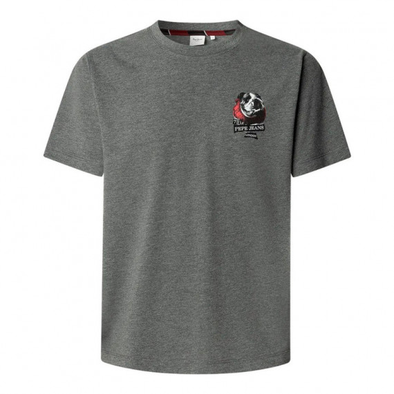 Camiseta gráfico estampado fit regular