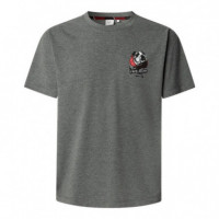 Camiseta gráfico estampado fit regular