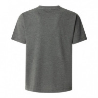 Camiseta gráfico estampado fit regular