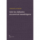 SOLO LOS ELEFANTES ENCUENTRAN MANDRAGORA