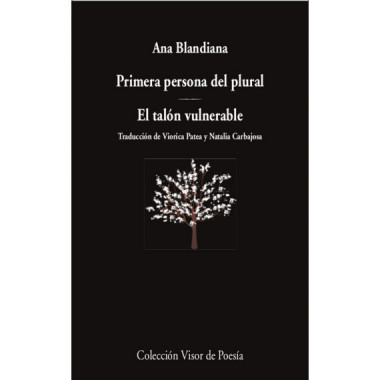 PRIMERA PERSONA DEL PLURAL EL TALON VULNERABLE