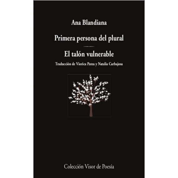 PRIMERA PERSONA DEL PLURAL EL TALON VULNERABLE