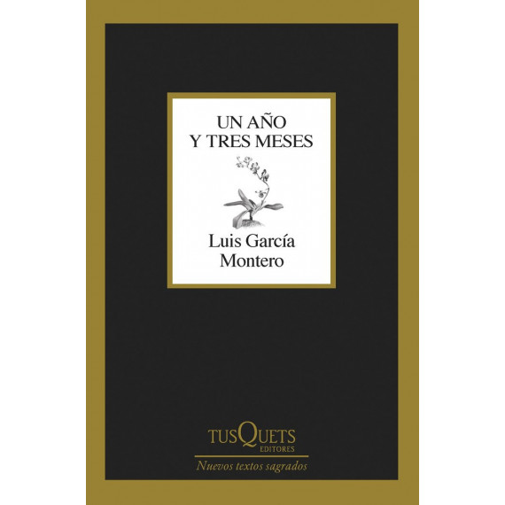 Un a�o y tres meses