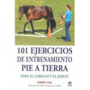 101 ejercicios de entrenamiento pie a tierra