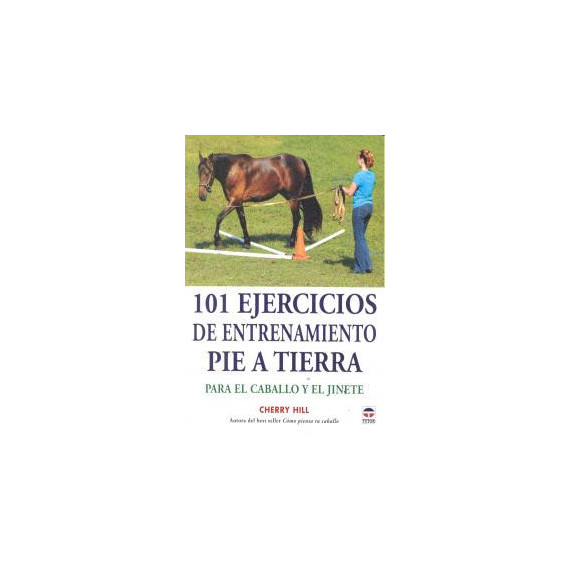 101 ejercicios de entrenamiento pie a tierra