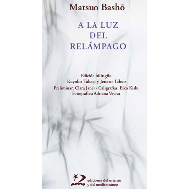 A LA LUZ DEL RELAMPAGO