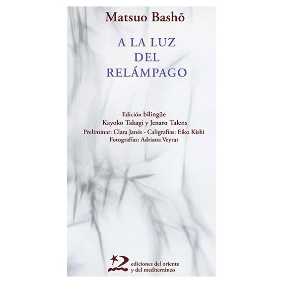 A LA LUZ DEL RELAMPAGO