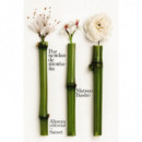 POR SENDAS DE MONTA�A