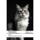 Gatos: (Casi) una historia natural