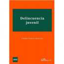 Delincuencia juvenil