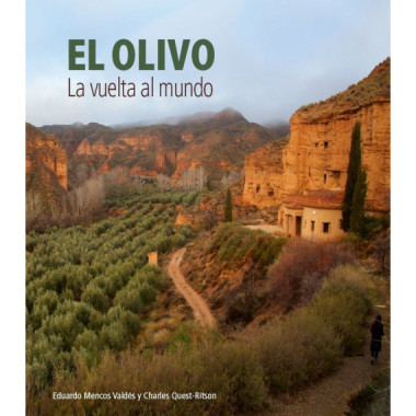 El olivo.