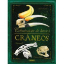 CRANEOS EL COLECCIONISTA DE HUESOS