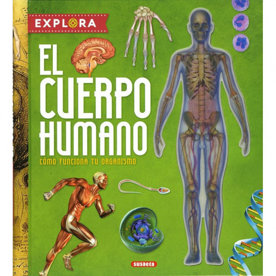 EL CUERPO HUMANO