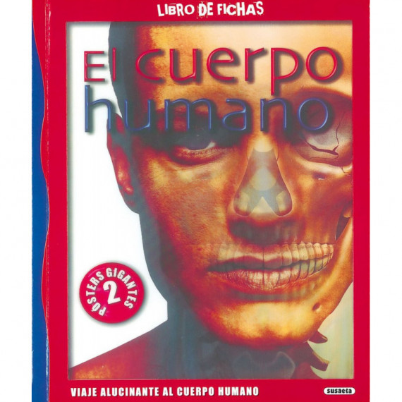 EL CUERPO HUMANO