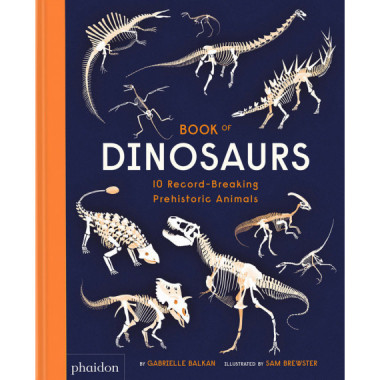 BOOK OF DINOSAURS