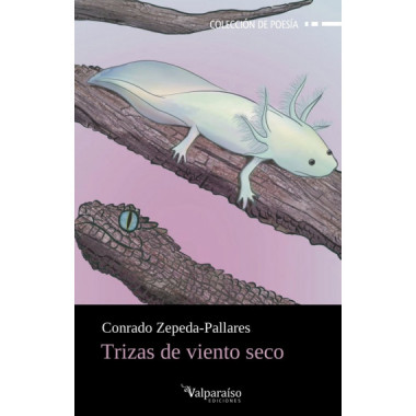 TRIZAS DE VIENTO SECO