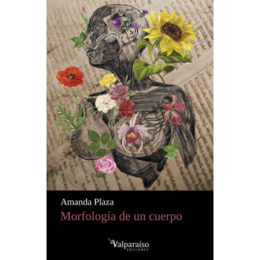 MORFOLOGIA DE UN CUERPO