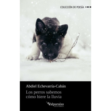 LOS PERROS SABEMOS COMO HIERE LA LLUVIA