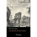 LAS PIEDRAS DE MIS RUINAS