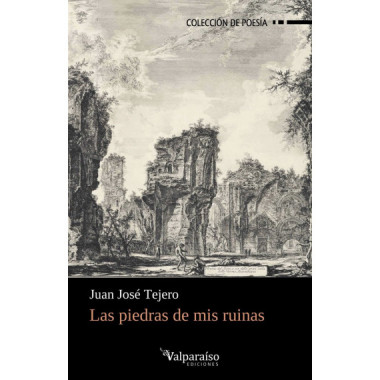 LAS PIEDRAS DE MIS RUINAS
