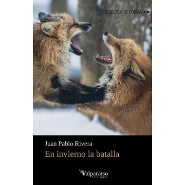 EN INVIERNO LA BATALLA