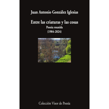 ENTRE LAS CRIATURAS Y LAS COSAS