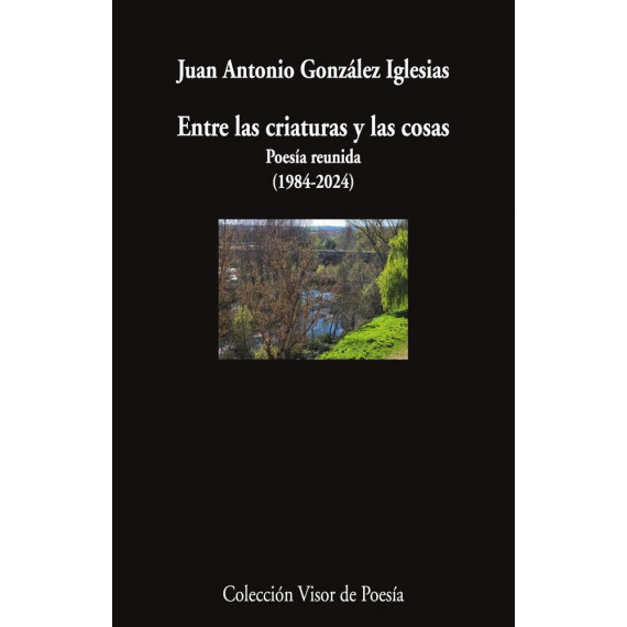 ENTRE LAS CRIATURAS Y LAS COSAS