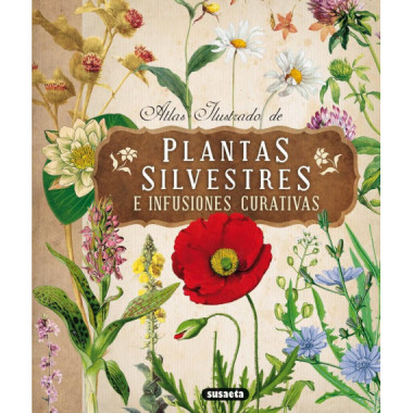 Plantas silvestres e infusiones curativas