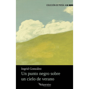 UN PUNTO NEGRO SOBRE UN CIELO DE VERANO