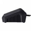 Cargador Baterias 40V AICER