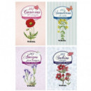 Colecci�n 365 titulos surtidos