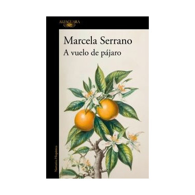 A VUELO DE PAJARO