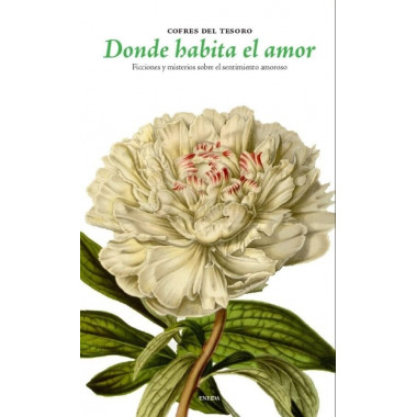 DONDE HABITA AMOR:FICCIONES Y MISTERIOS SOBRE SENTIMIENTOS