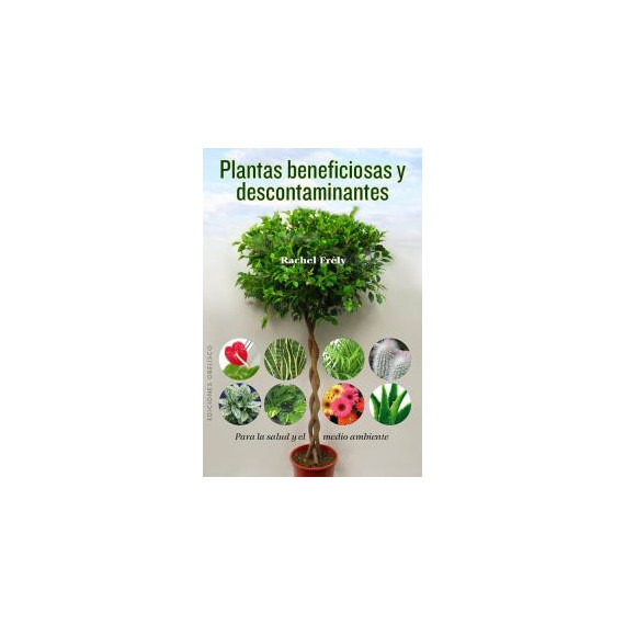Plantas beneficiosas y descontaminantes