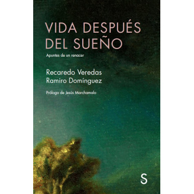 VIDA DESPUES DEL SUE�O