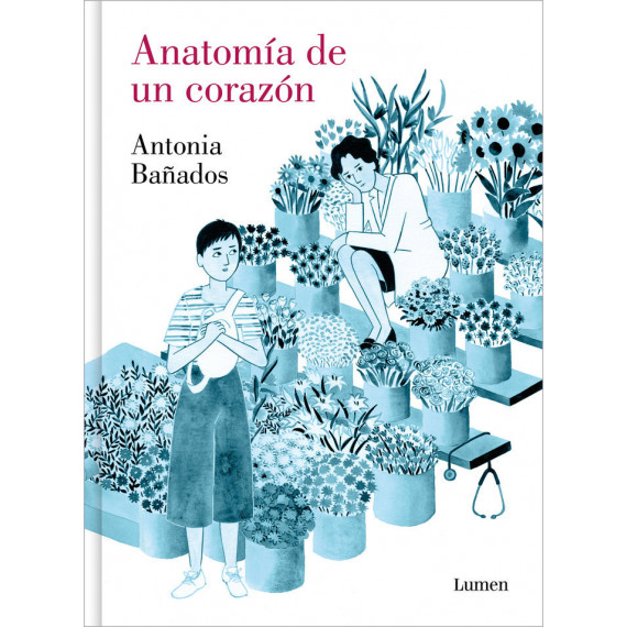 ANATOMIA DE UN CORAZON